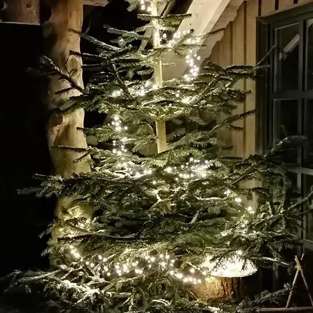 아파트 Haus Waldesruh Bruchhausen (Hochsauerlandkreis)