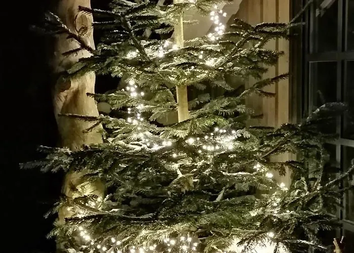 Apartamento Haus Waldesruh Bruchhausen (Hochsauerlandkreis)